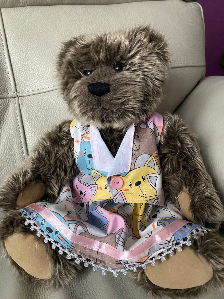 Cats Teddy Bear Skirt Outfit