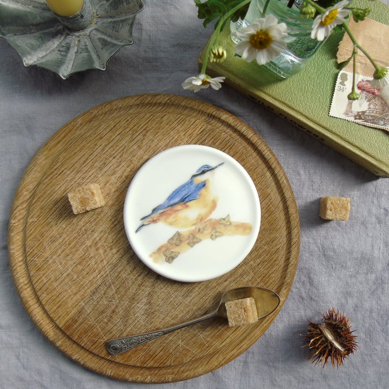 Nuthatch Coaster 
