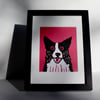 BORDER COLLIE DOG ON PINK- ORIGINAL LINOCUT FRAMED IN BLACK-FREE POSTAGE