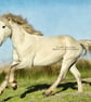 Exclusive Handmade Horse Greetings Card on Archive Photo Paper - Image 2
