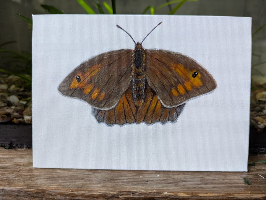Original Meadow Brown Butterfly Acrylic paint 