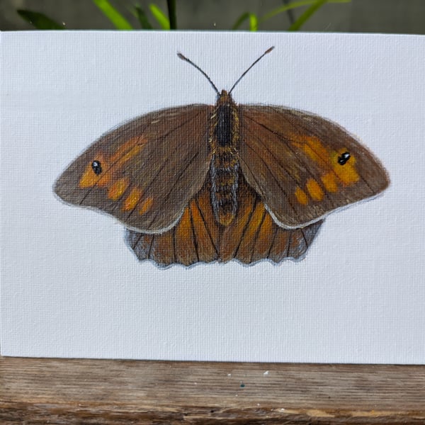 Original Meadow Brown Butterfly Acrylic paint 