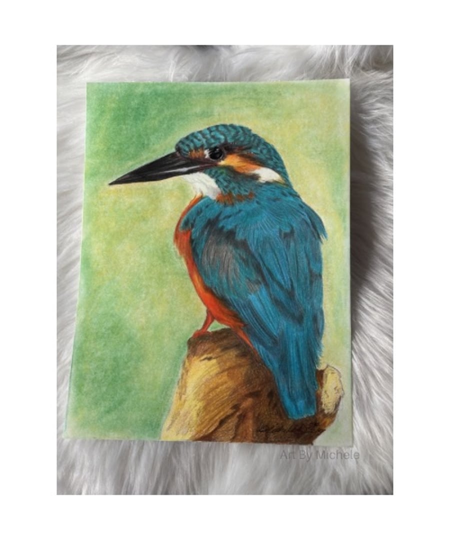 Original Kingfisher Drawing – Colour Pencil & Pastel Background