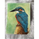 Original Kingfisher Drawing – Colour Pencil & Pastel Background