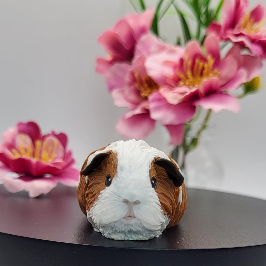 Guinea best sale pig homeware