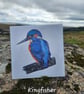 Dartmoor Bird Cards - single - Image 4