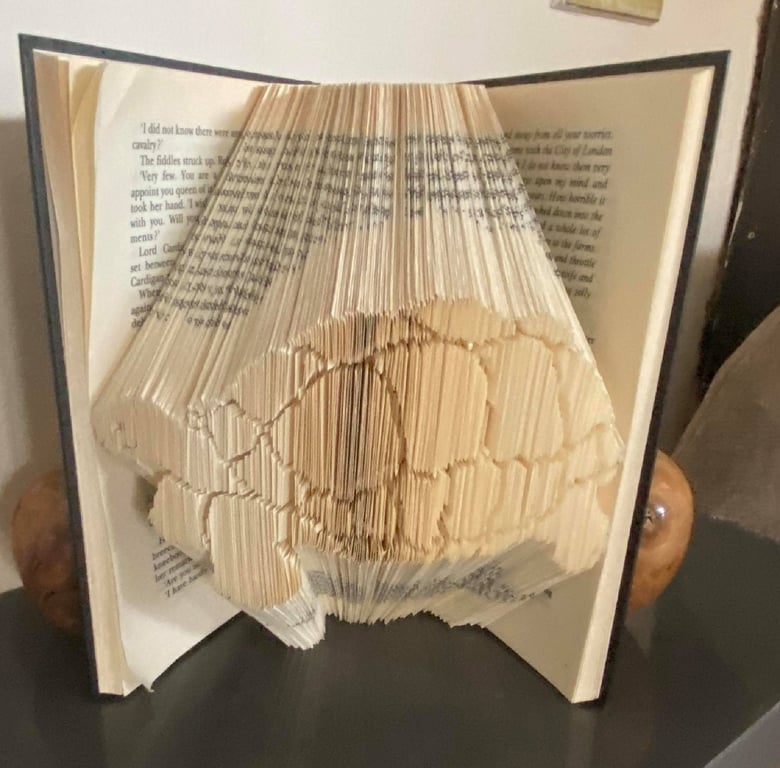 Tortoise COMBI Book Folding Pattern - EMAILED PDF PATTERN