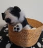 Border Collie New Born Puppy, Dotpebblesknits  Design - Image 8
