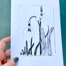 Snowdrop Original Print, A5 size