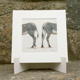 Pair of Zebra Original Coloured Pencil Drawing