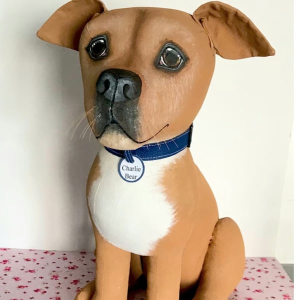 Staffy