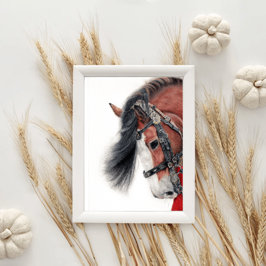 Unframed Equestrian Horse Drawing  Giclee 