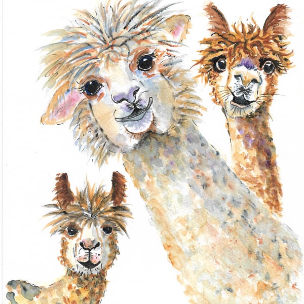 Alpaca Three original painting. Llama painting