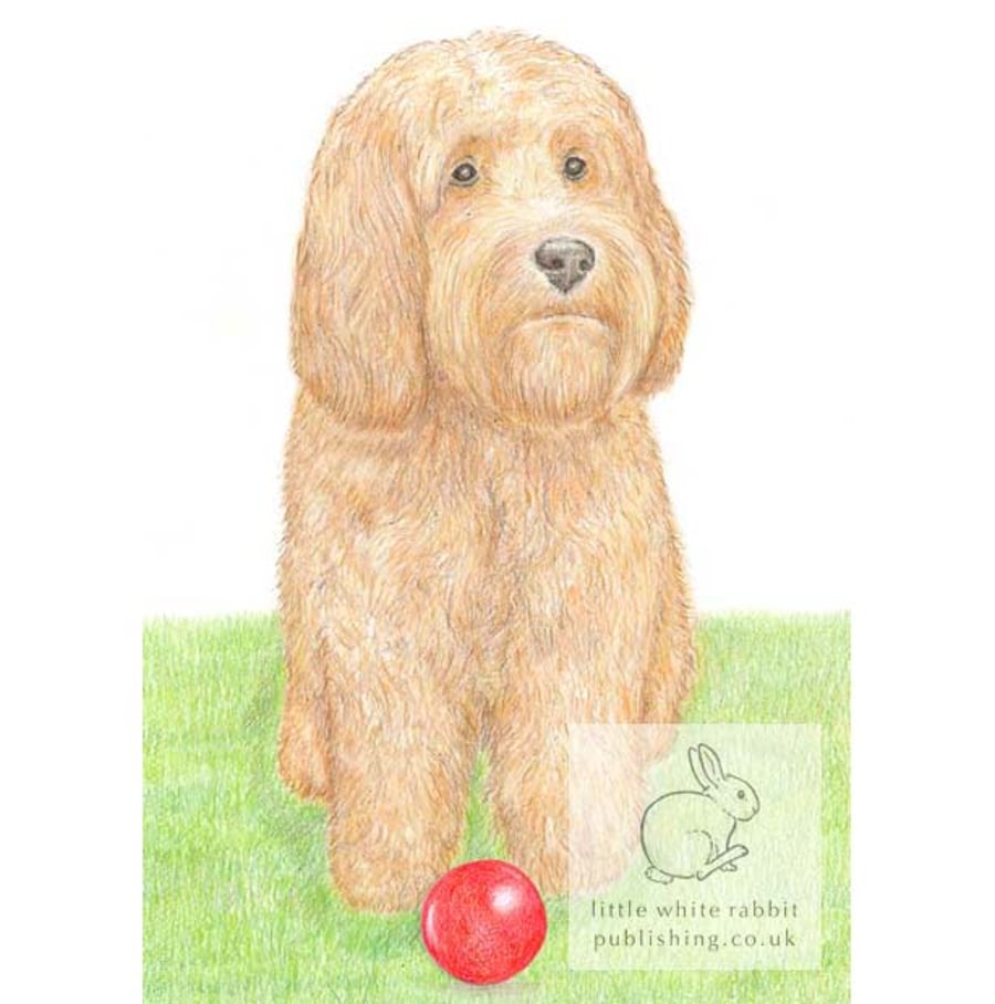 Milo with his ball - Blank Card