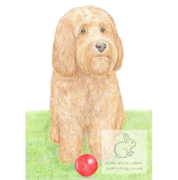 Milo with his ball - Blank Card