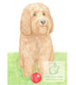 Milo with his ball - Blank Card - Image 1