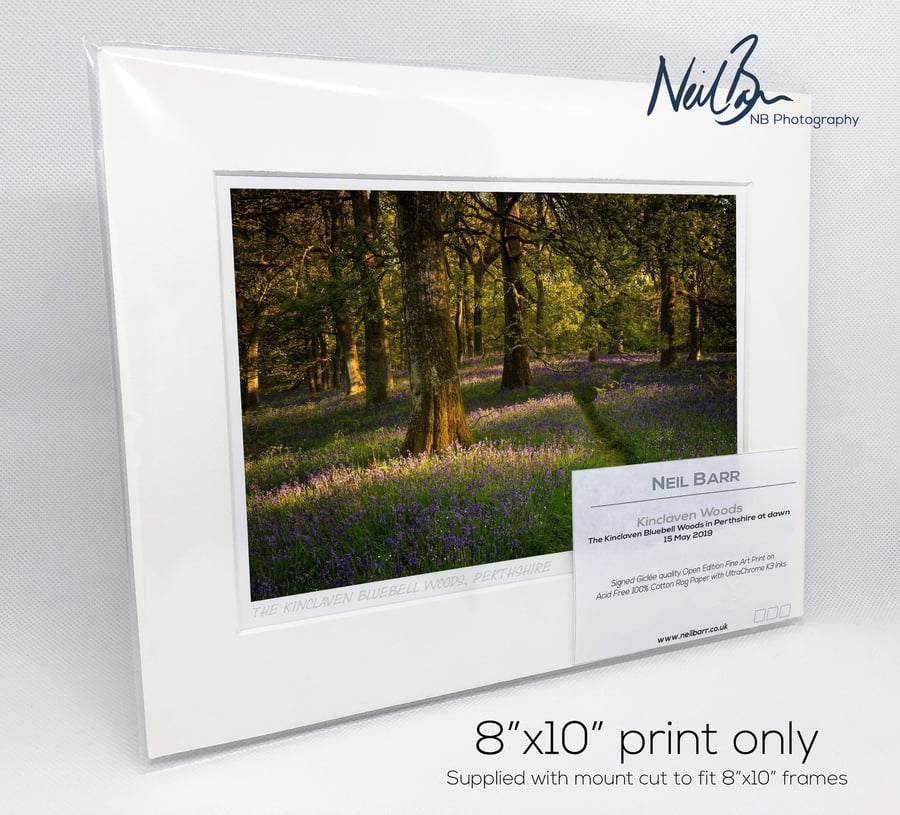 Kinclaven Bluebell Woodlands Perthshire - A5 (10" x 8") Unframed Print