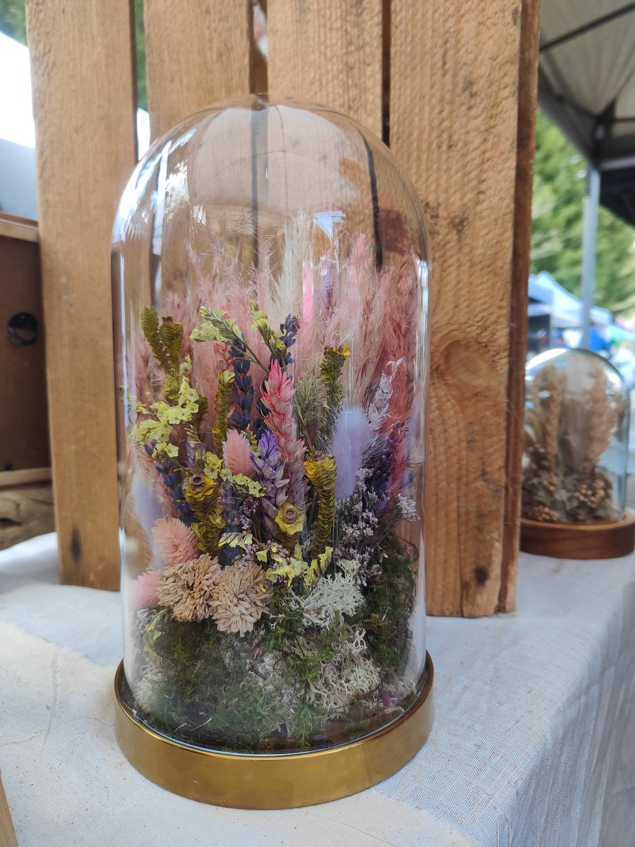 Glass Dome with Dried Flowers Folksy