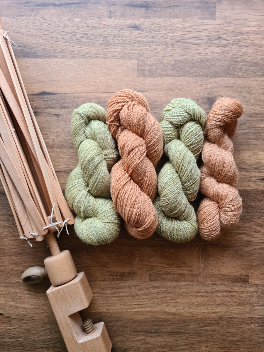 Naturally plant dyed non-superwash British Romney DK Wooltrace wool yarn