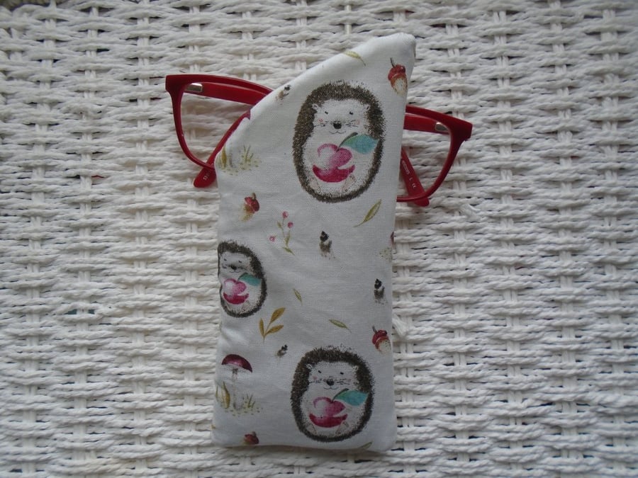 Cute Hedgehog Glasses Case Lined & Padded Unique 