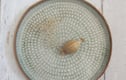 Decorative plates