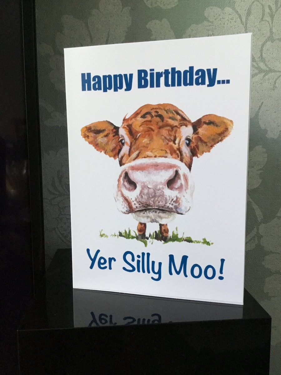 Silly Moo Birthday Card