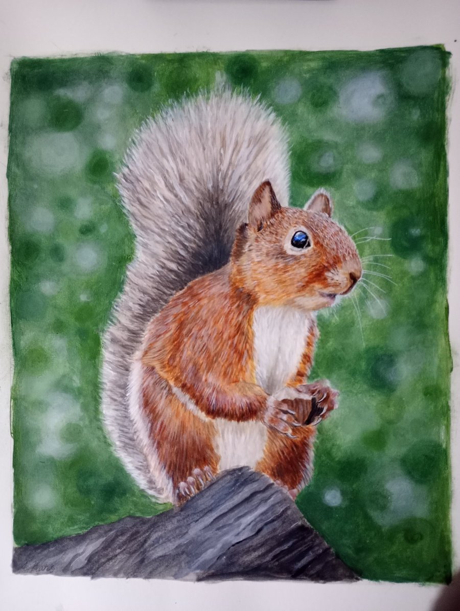 'A Squirrel's Treasure' Red Squirrel Acrylic Painting
