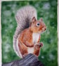 'A Squirrel's Treasure' Red Squirrel Acrylic Painting