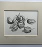 Physalis drawing Cape gooseberry Goldenberry