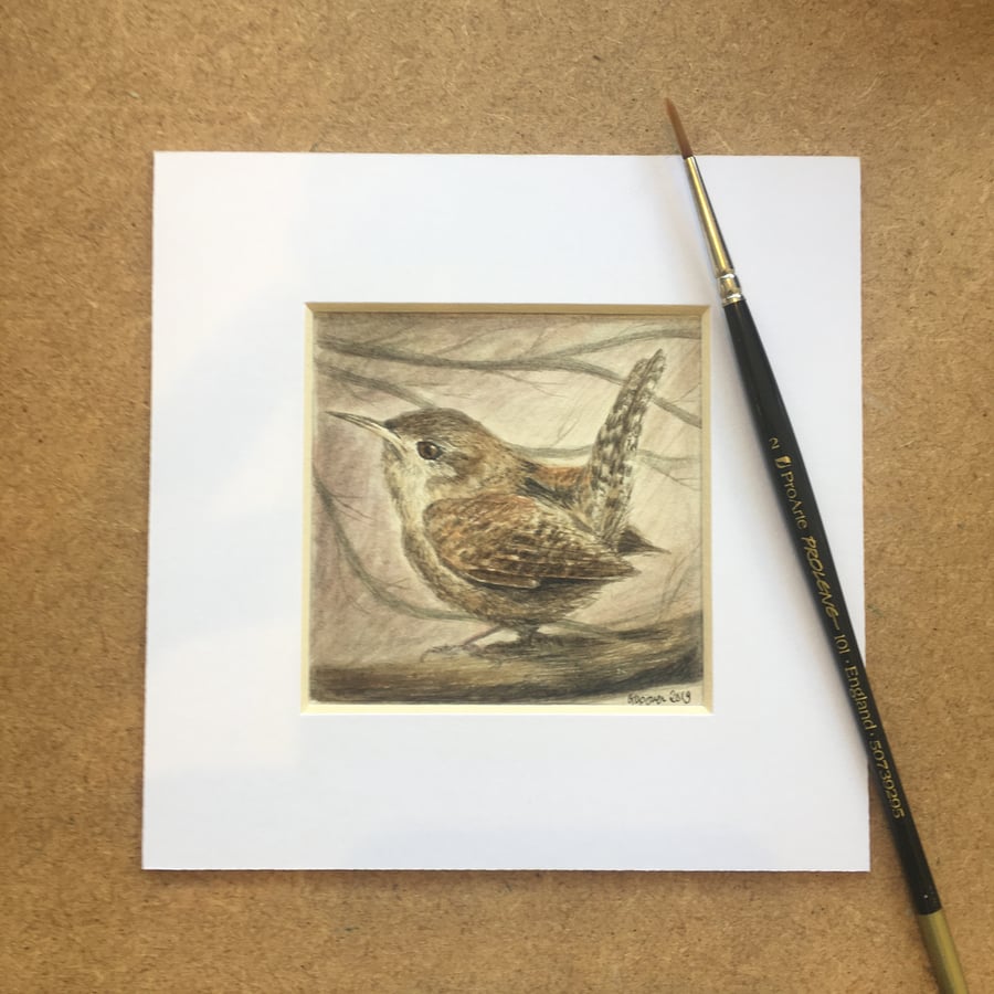 Wren Watercolour Painting