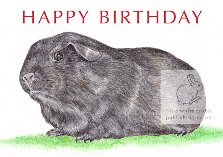 Blackie the Guinea Pig - Birthday Card