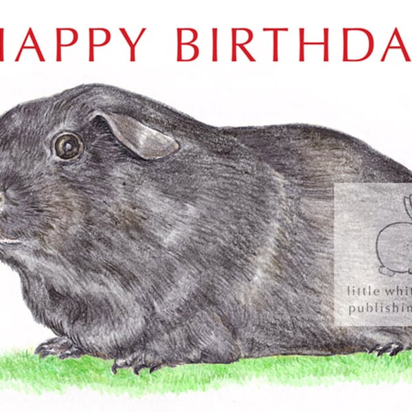 Blackie the Guinea Pig - Birthday Card