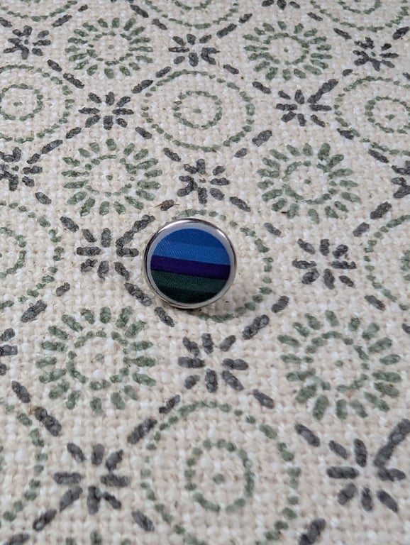 Salmacian Flag Pin - Pride Themed Pin - Small Resin Topped Pin Badge - LGBTQ
