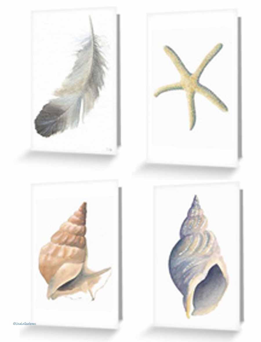 Shoreline treasures beach collection set of four cards notelets
