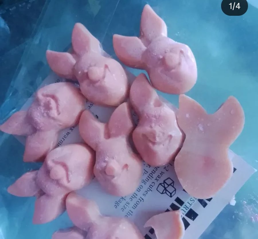 Winnie the pooh scented  wax melts 