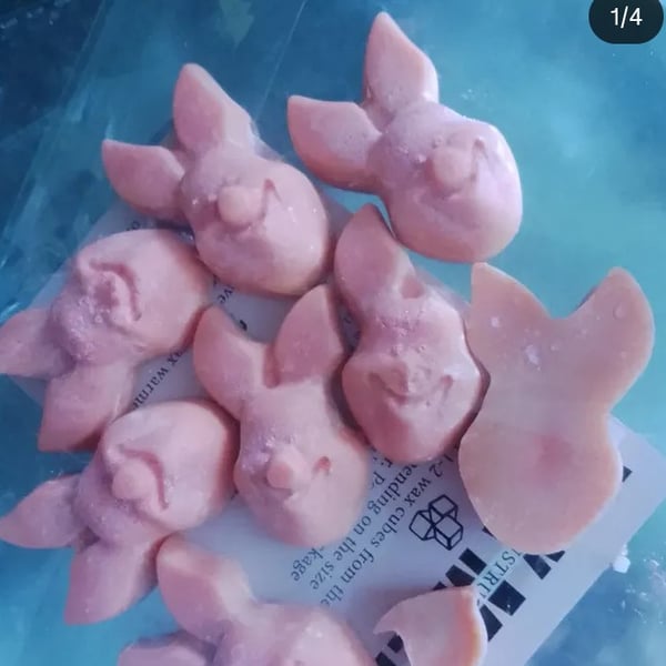 Winnie the pooh scented  wax melts 