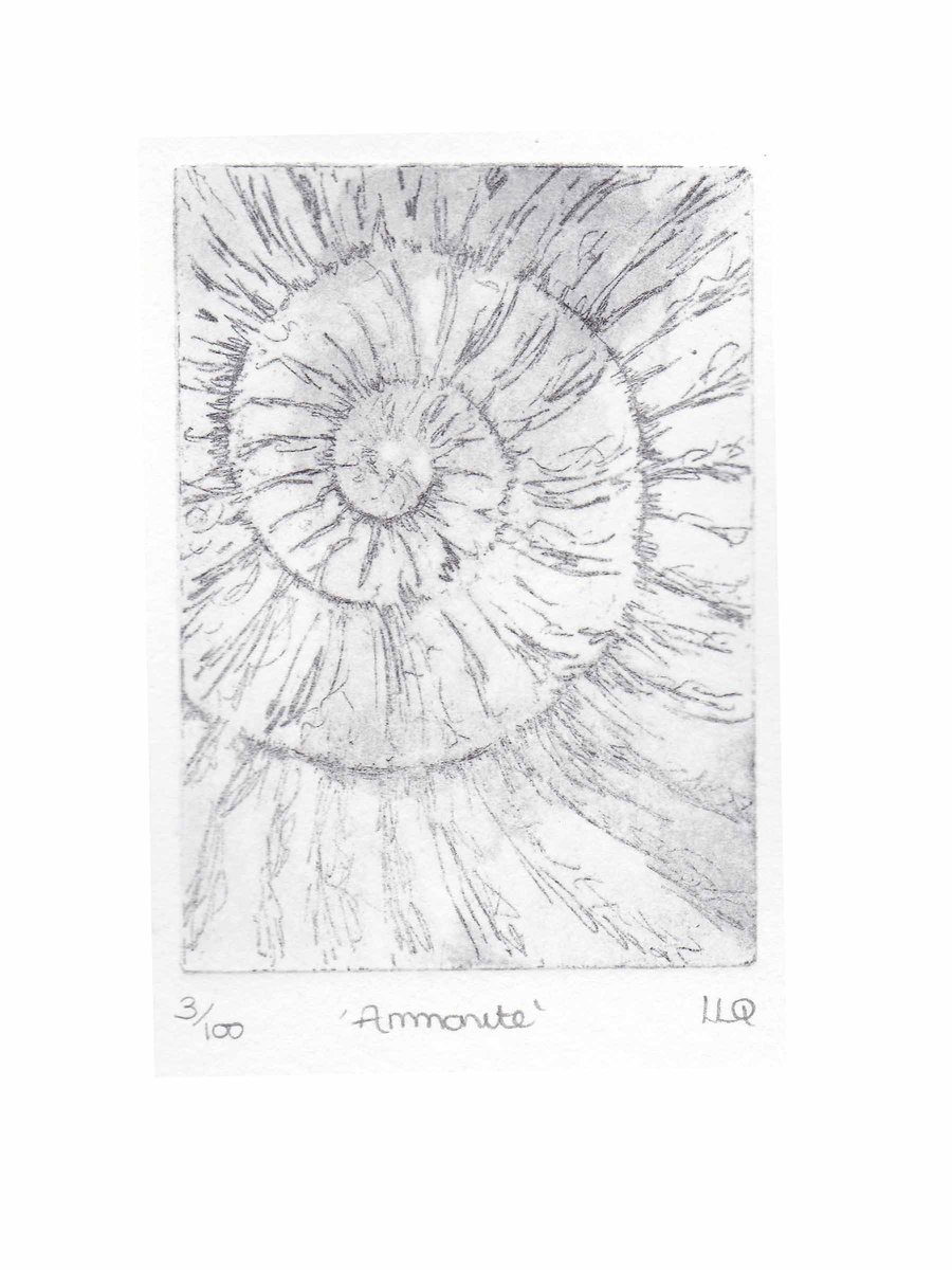 Original ammonite fossil etching no.3 in an edition of 100