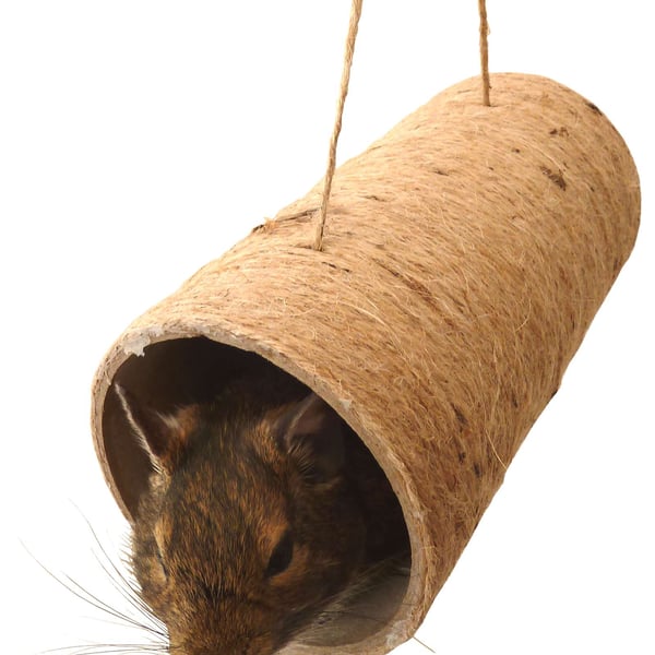 Totally Degu Ultimate chewchewbs - Two pack