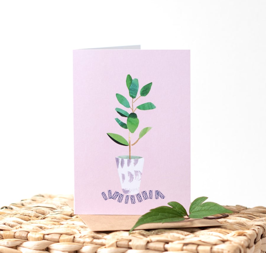 Houseplant Illustrated Blank Greeting Card for Plant Lovers