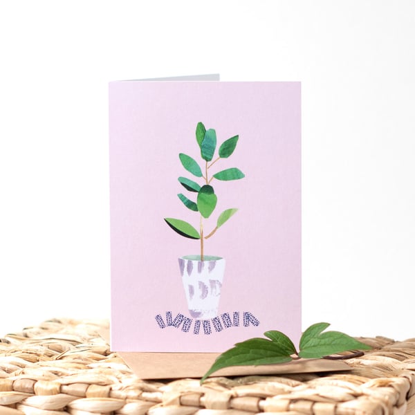 Houseplant Illustrated Blank Greeting Card for Plant Lovers