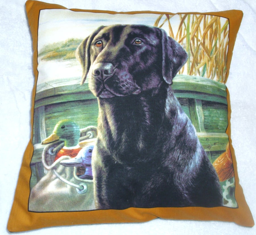 lovely Black Labrador waiting for action cushion