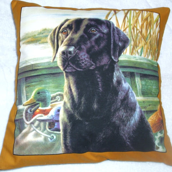 lovely Black Labrador waiting for action cushion