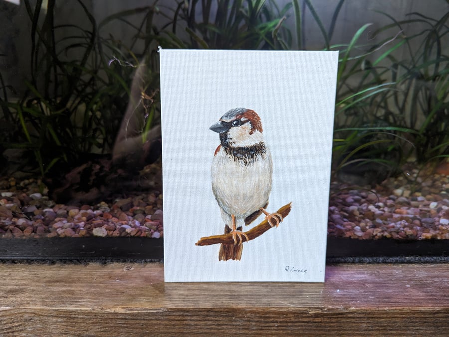 House Sparrow Painting (with hanger)