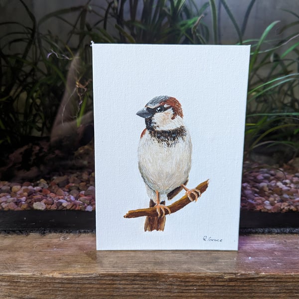 House Sparrow Painting 