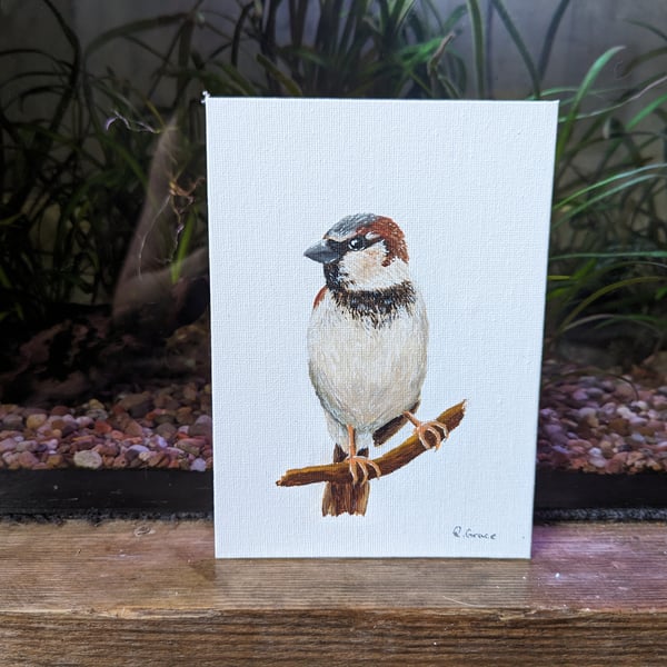 House Sparrow Painting (with hanger)
