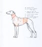 Hettie Whippet Hand Knitted Turquoise & Blue Tank - Image 4