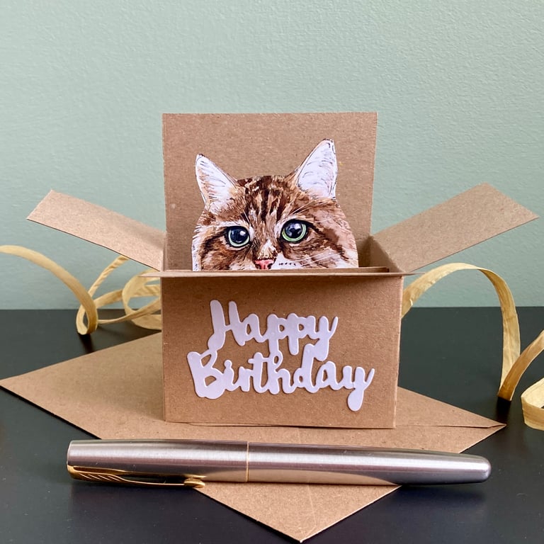 Cat Birthday Card - long haired tabby Cat box card. Birthday gift card cat lover