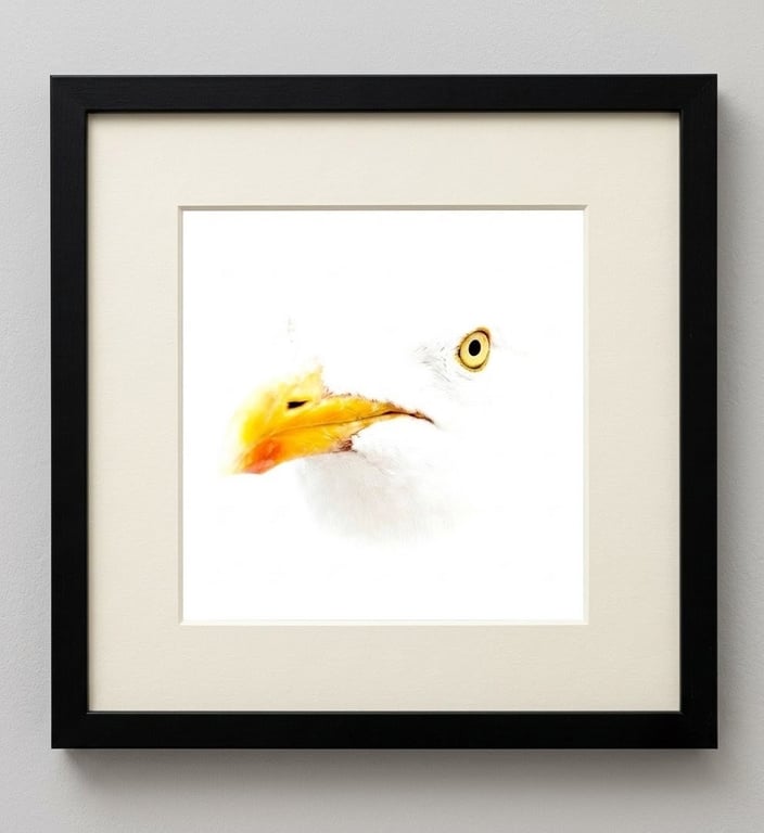 Seagull 