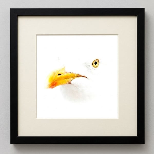 Seagull 
