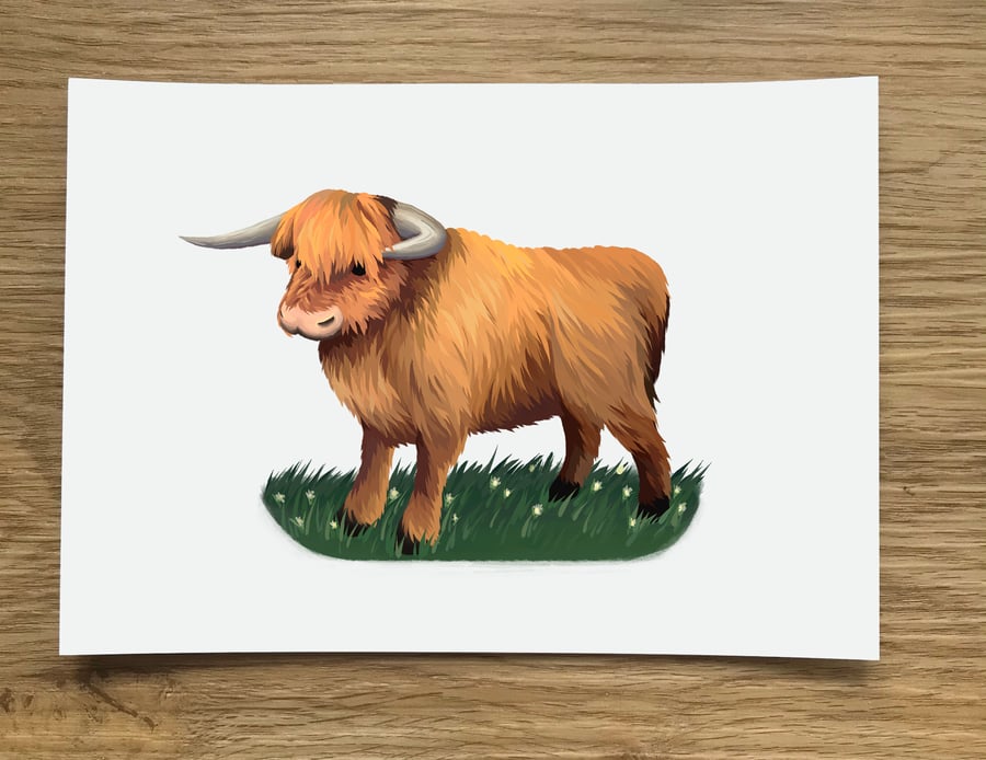 A6 Highland Cow Post Card (White Background)